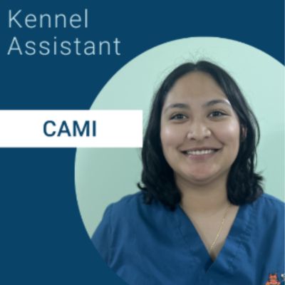 Cami