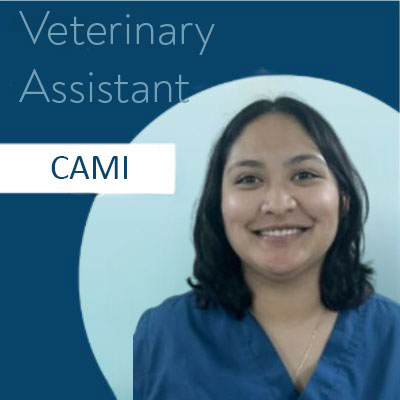 Cami-Veterinary-Assistant