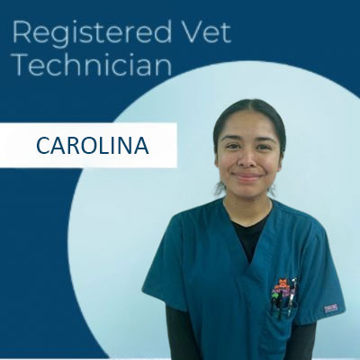 Carolina-Registered-veterinary-technician