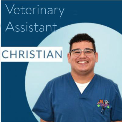 Christian-Veterinary-Assistants