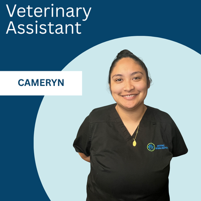 Cameryn Cami-Veterinary-Assistant