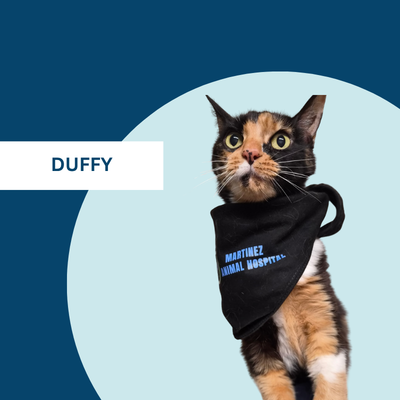 Duffy Danny - Pharmacy Administrator
